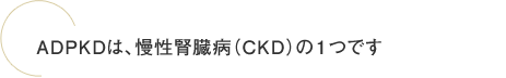 ADPKD（常染色体優性多発性嚢胞腎）は、慢性腎臓病（CKD）の１つです
