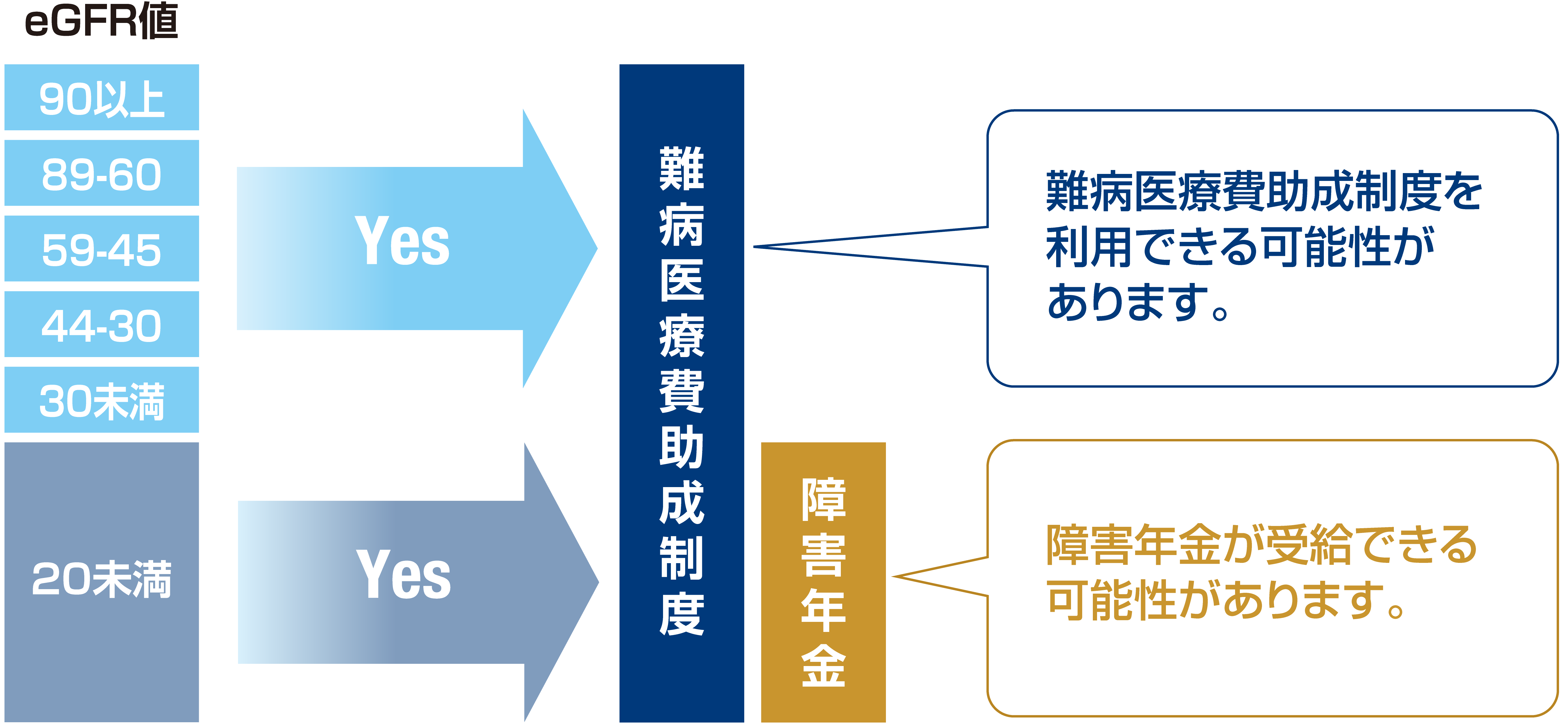 あなたのeGFR値を確認して、ご自身がどんな公的支援を受けられるか、調べてみましょう。